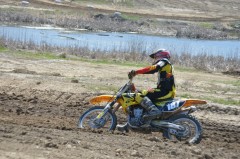 Thumbs/tn_460.jpg