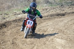 Thumbs/tn_723.jpg