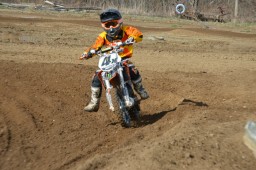 Thumbs/tn_096.jpg