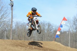 Thumbs/tn_145.jpg