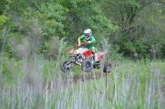 Thumbs/tn_1732.jpg
