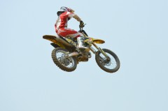 Thumbs/tn_271.jpg